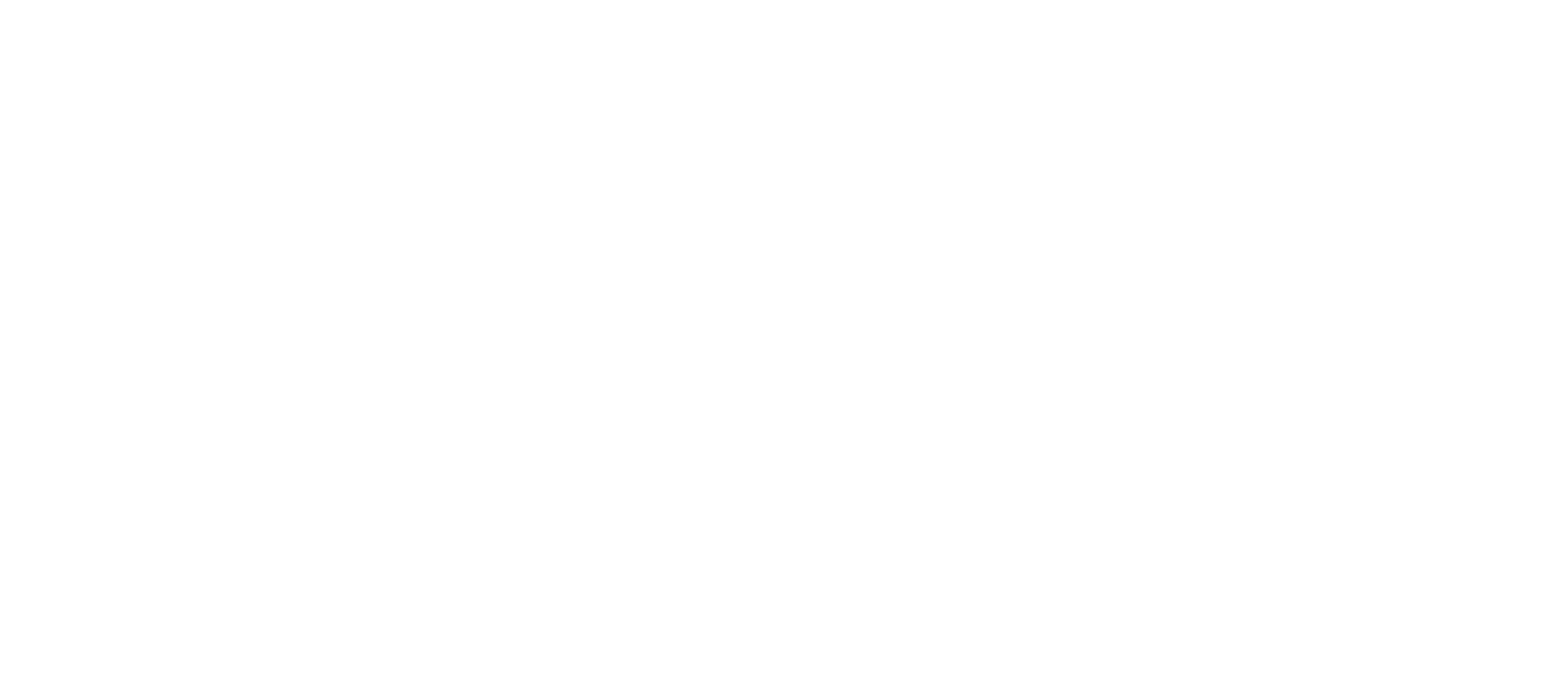 REVEL BD